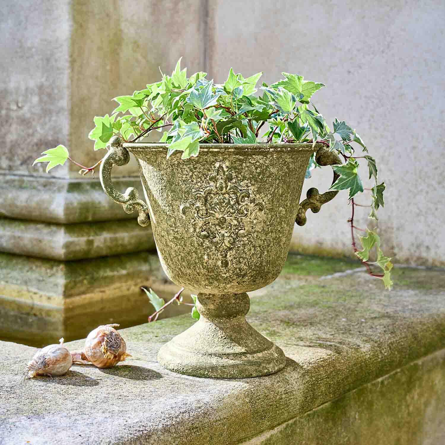 Decoratieve groen verweerde plantenbak met klimop en bollen op stenen muur buiten