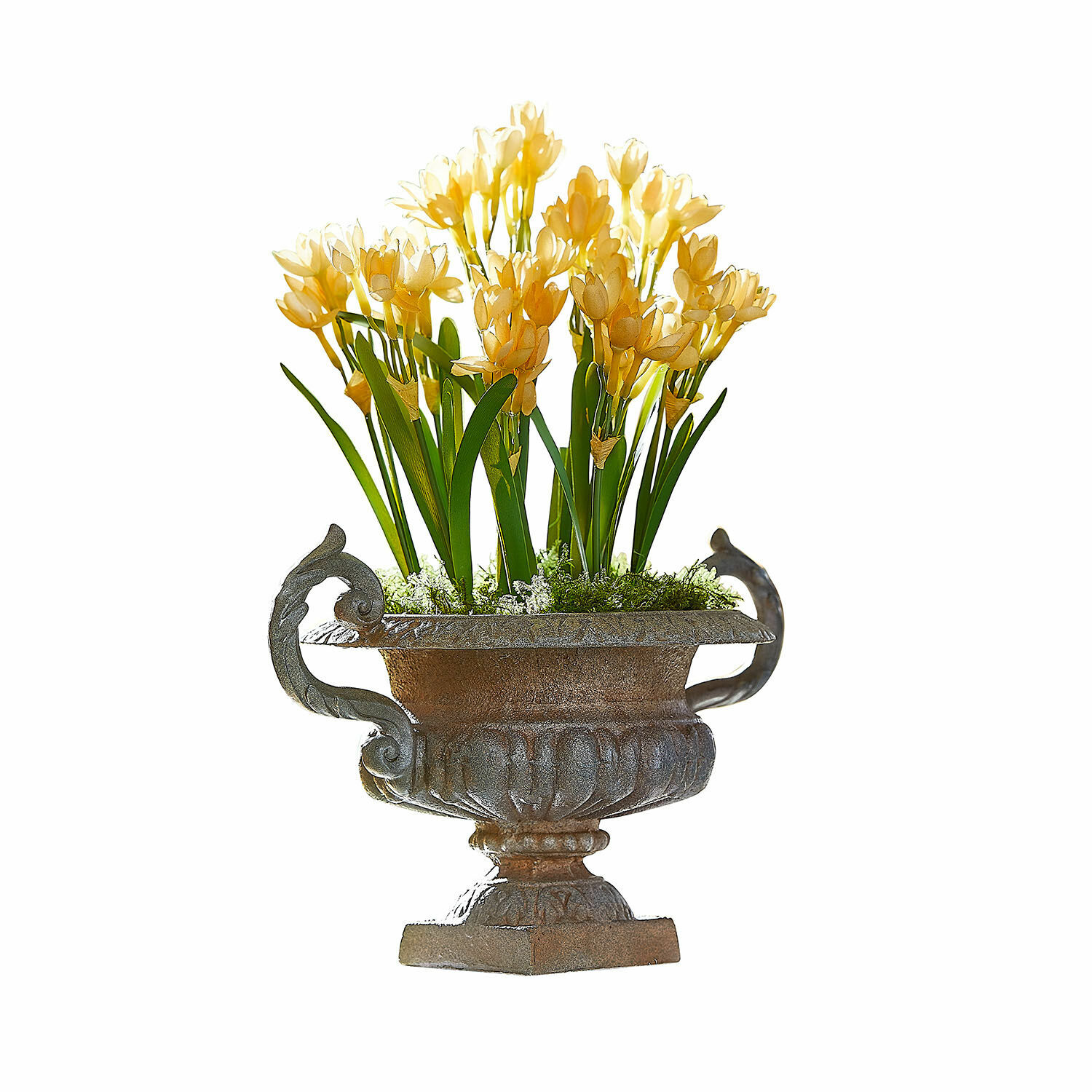 Amfoor Iverlon Decoratieve metalen bloempot met gele bloemen en groene bladeren op witte achtergrond