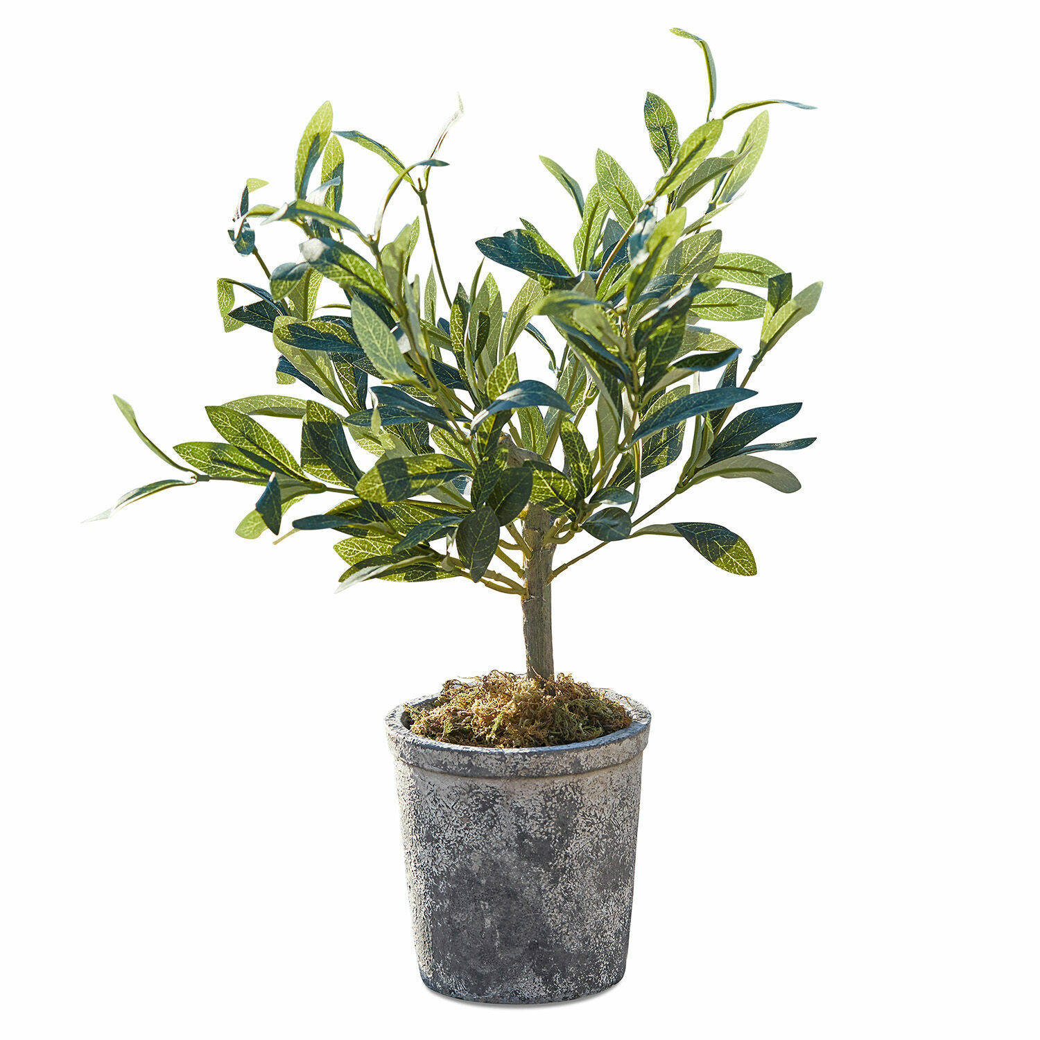 Kunstmatige olijfboom in grijze pot met mosdecoratie, decoratieve plant voor binnen en buiten