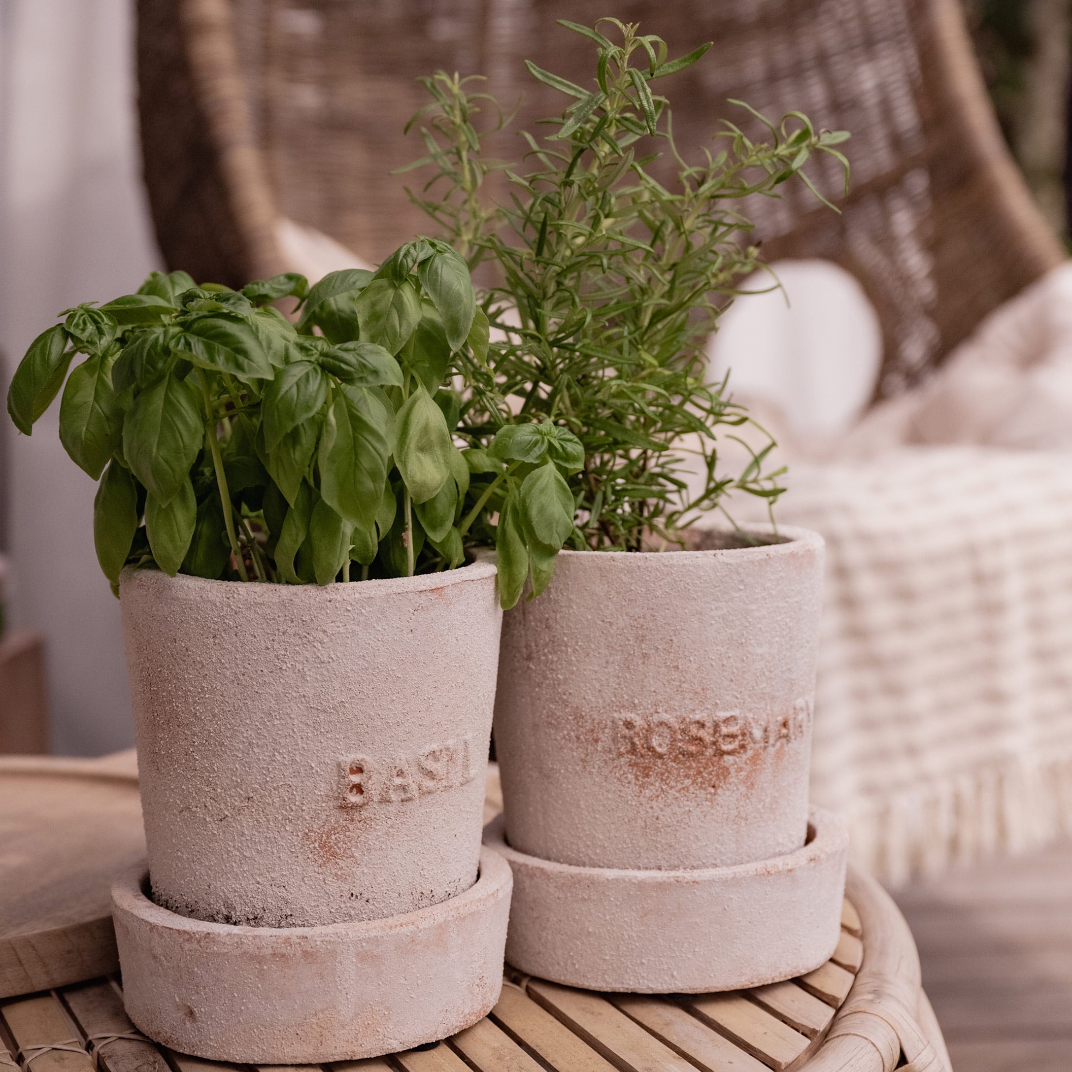 Terracotta potten met basilicum en rozemarijn op houten tafel voor huisdecoratie
