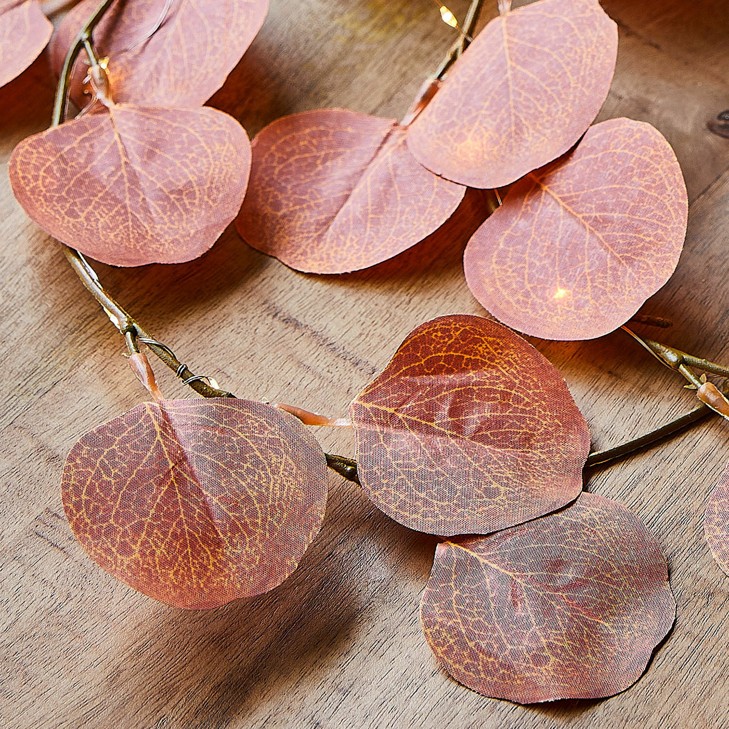 Lichtsnoer Gracielle