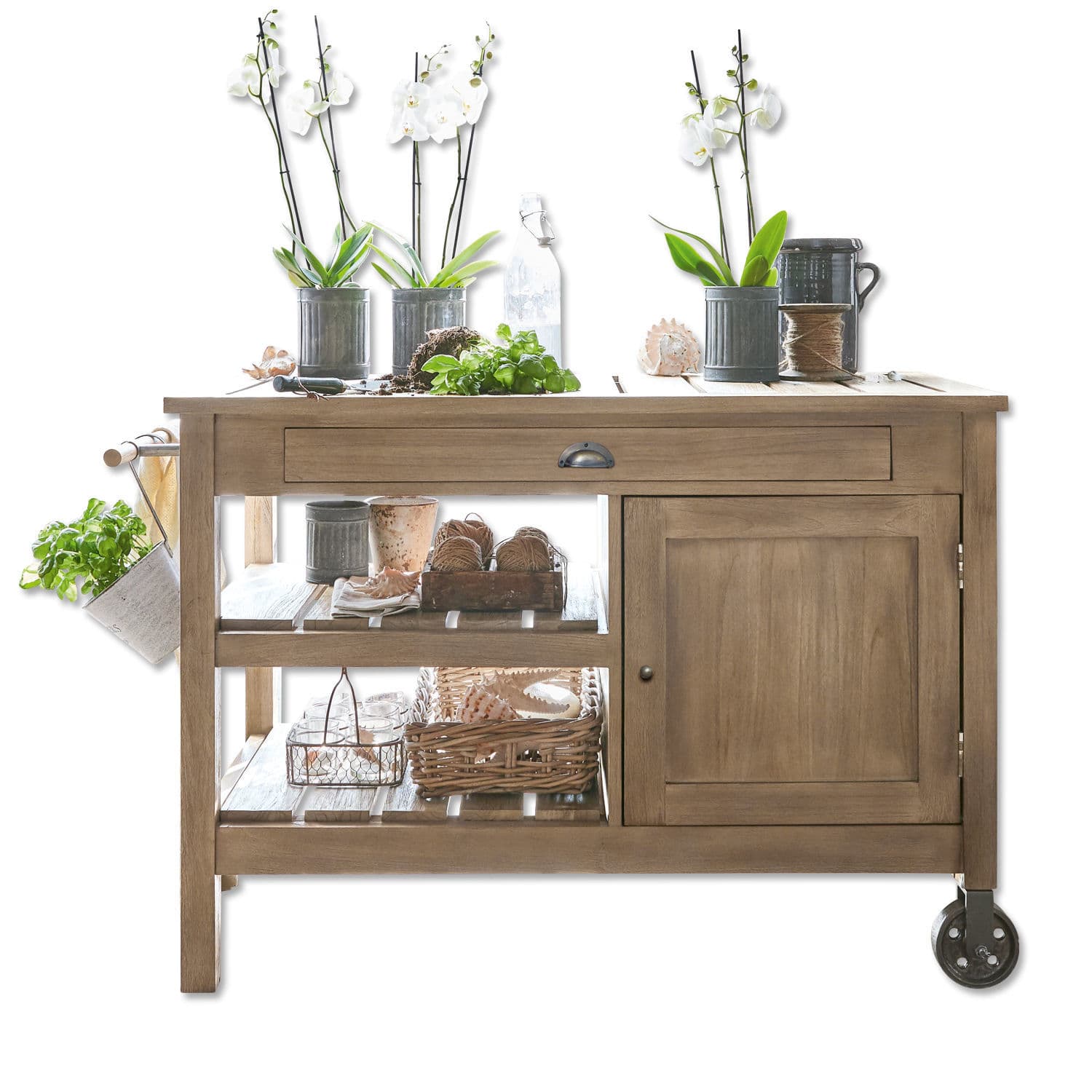 Plantentafel Douvres