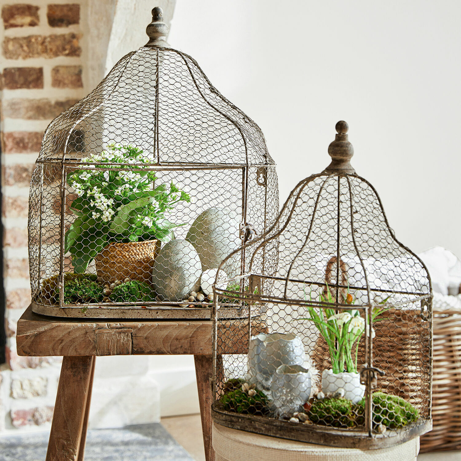 Decoratieve metalen kooien in antiek gouden kleur met planten en stenen op een rustieke houten tafel