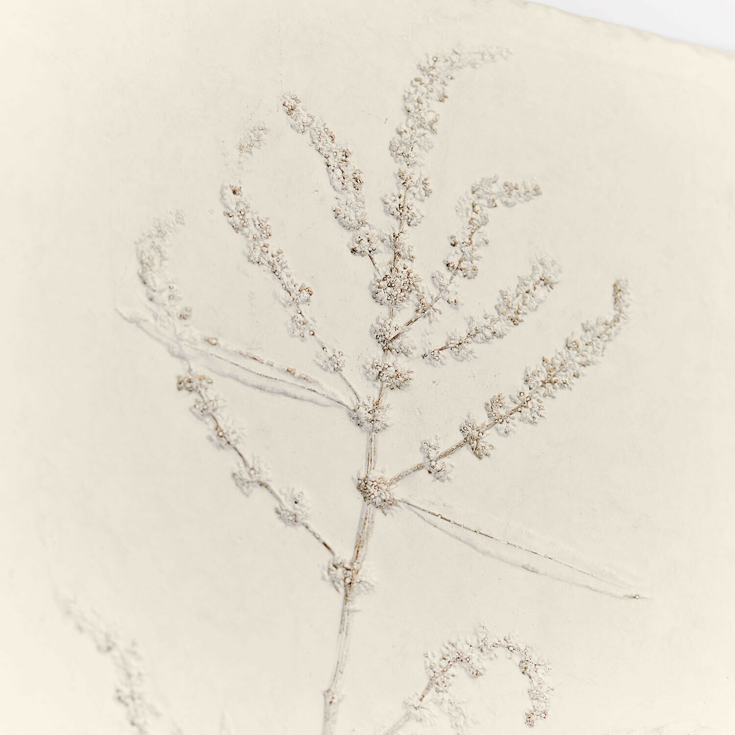 Afbeelding set van 2 Maevara