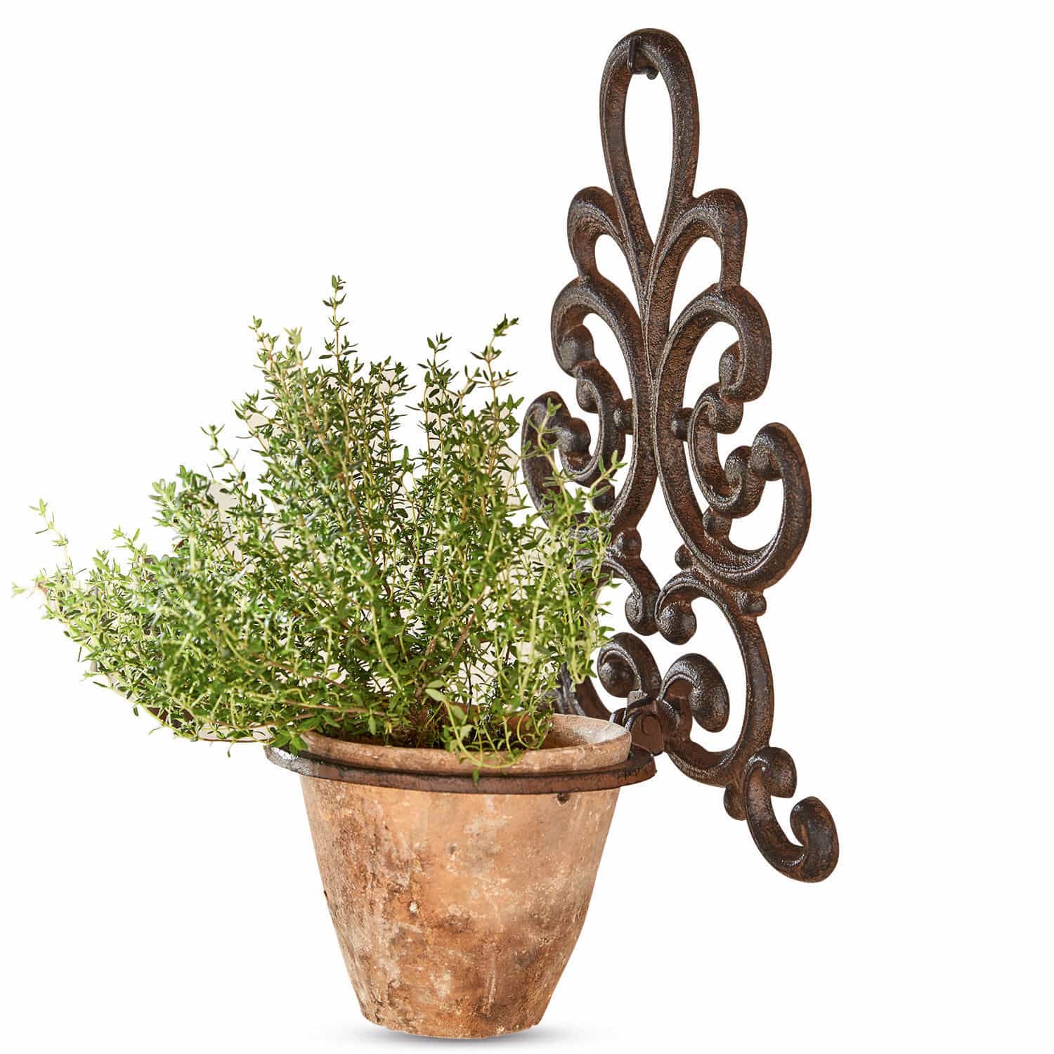 Bloempothouder Cecile Terracotta pot met groene plant aan decoratieve bruine metalen wandhouder
