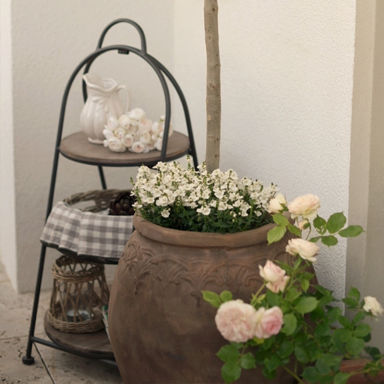 Grote keramische pot met witte bloemen en rozen naast metalen rek met kan en lantaarn