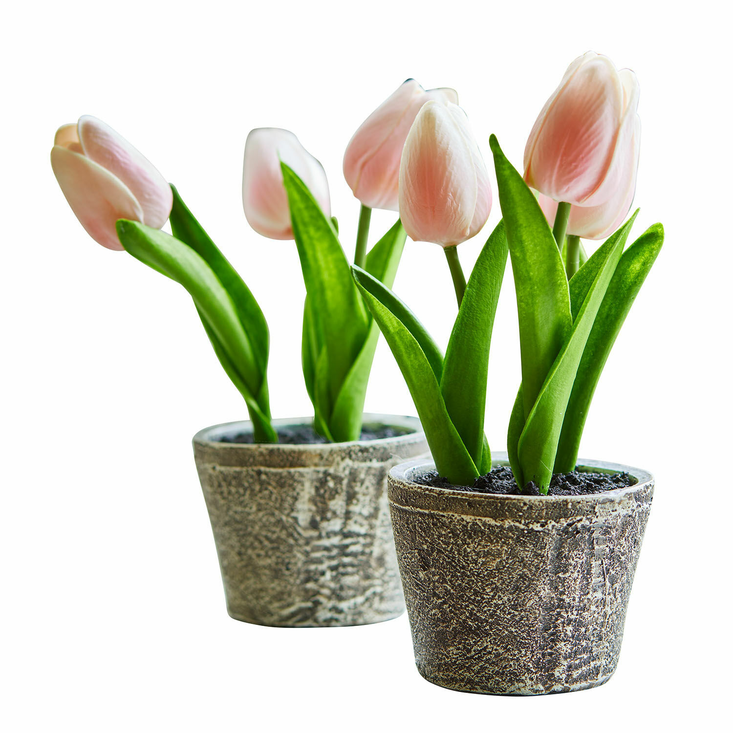 Siertulpen set van 2 Zéphine
