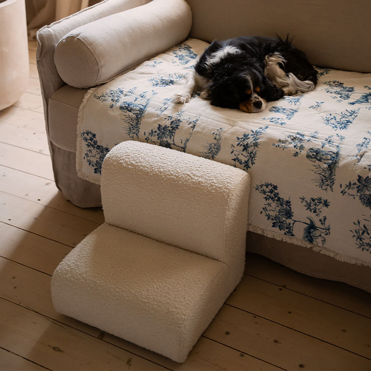 Kleine witte pluche hondenstoel op houten vloer naast bank met slapende hond op blauw-witte deken