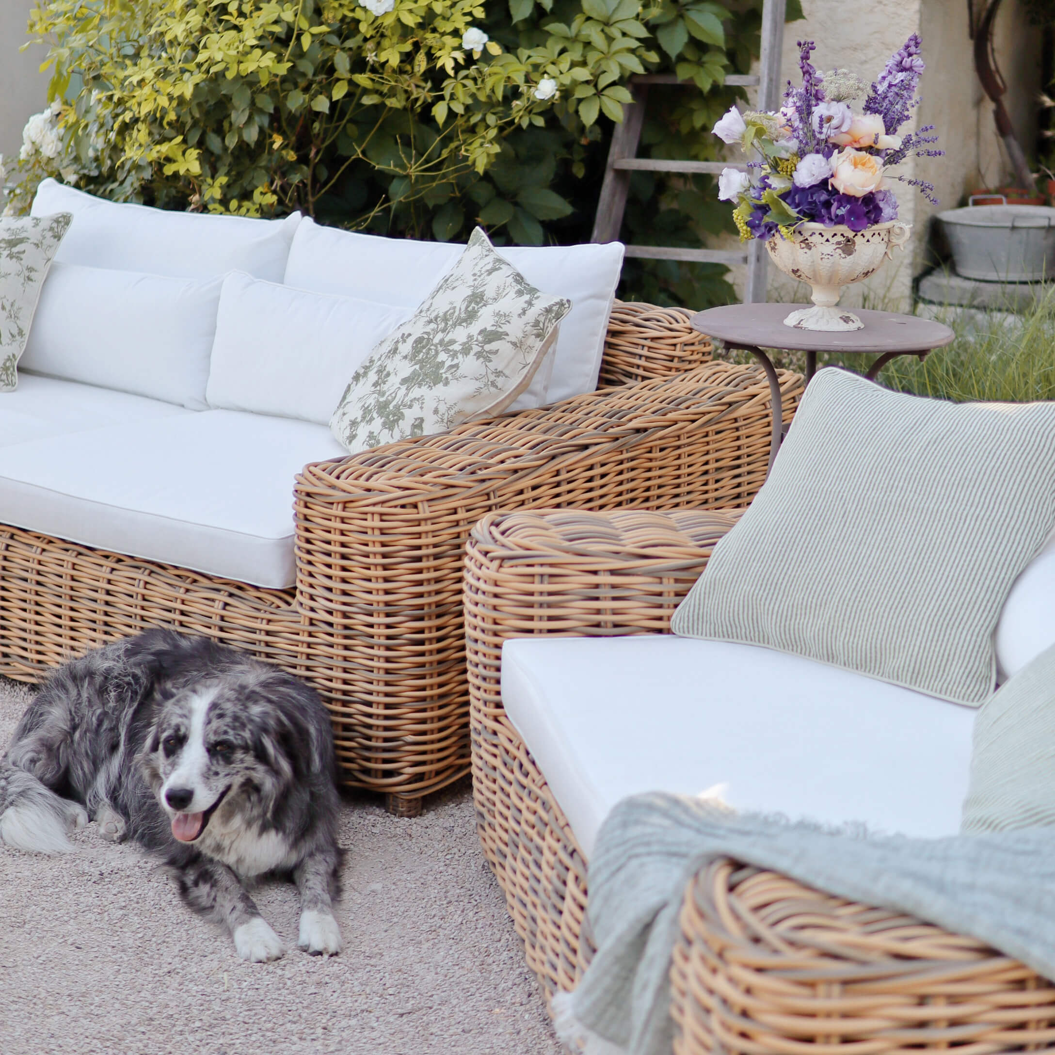 Rotan tuinmeubilair met witte kussens en bloemen op tafel, hond ligt op de grond