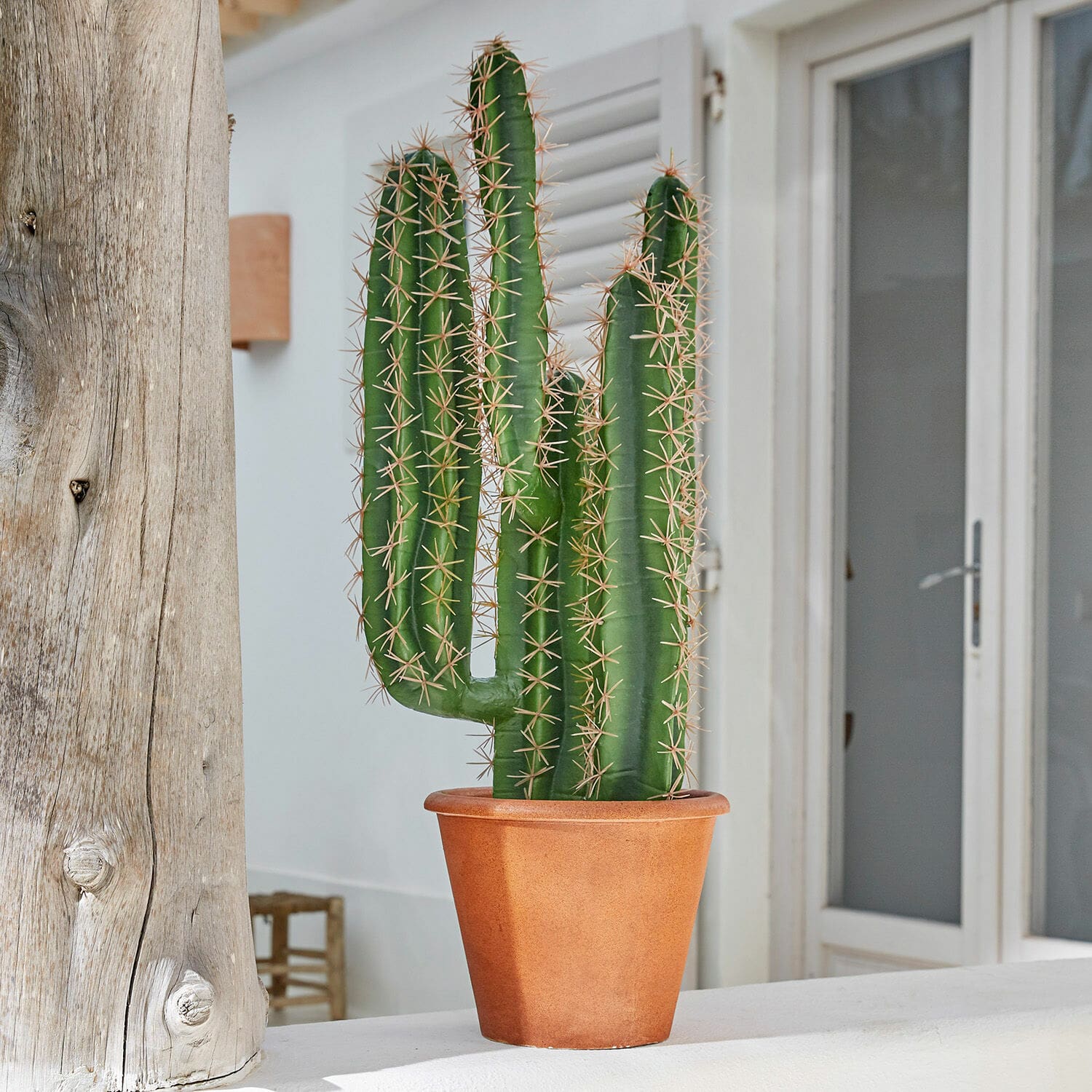 Decoratieve potplant Campana