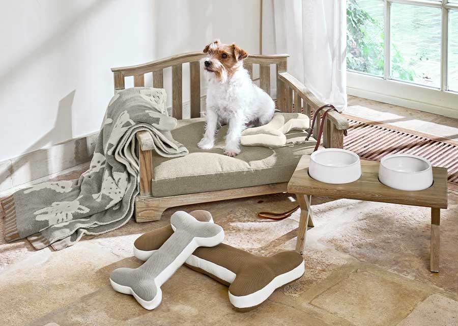 Lievelingsplekje voor huisdieren