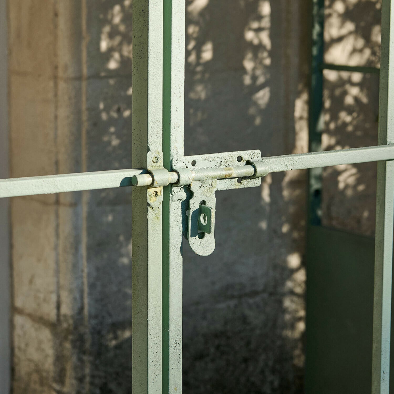 Plantenkas Pontivain