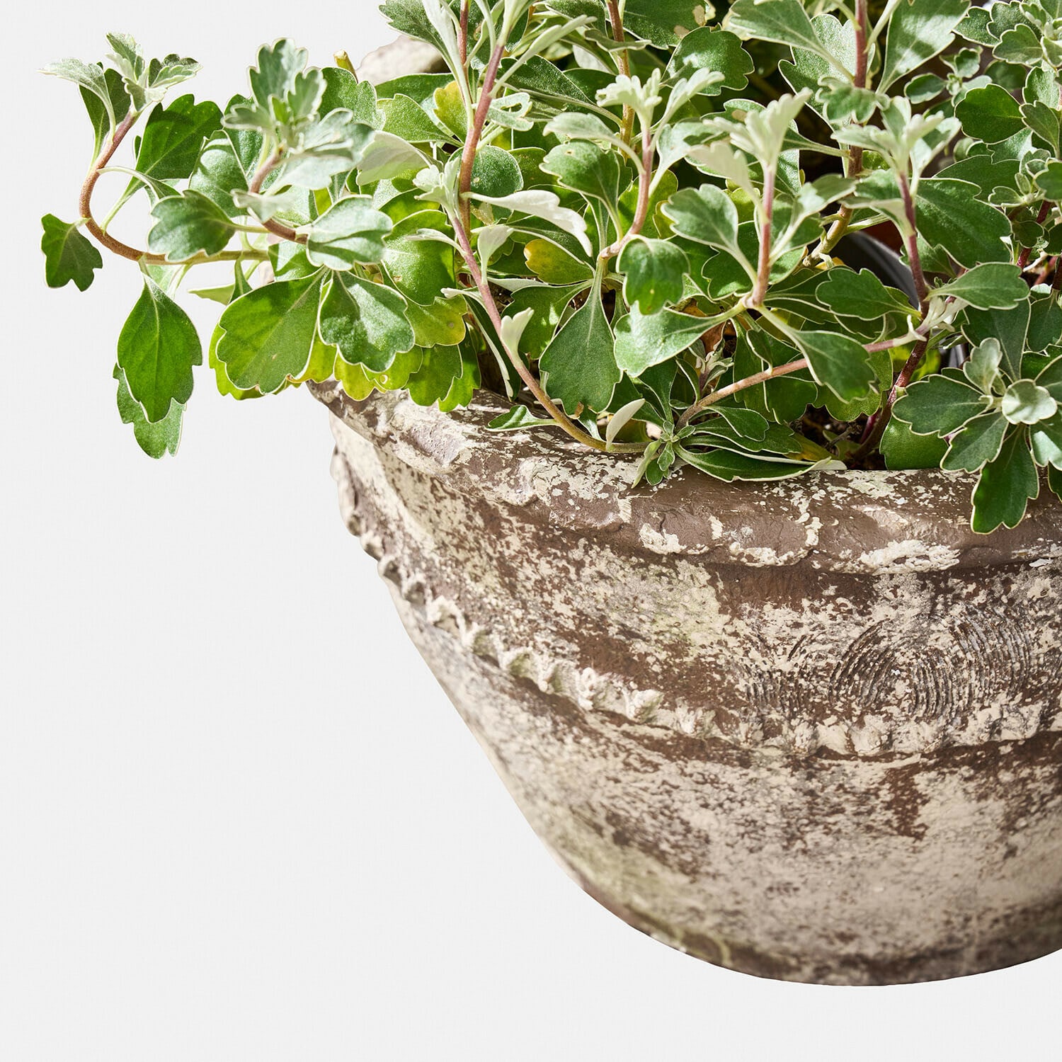 Sierpot set van 2 Montérise