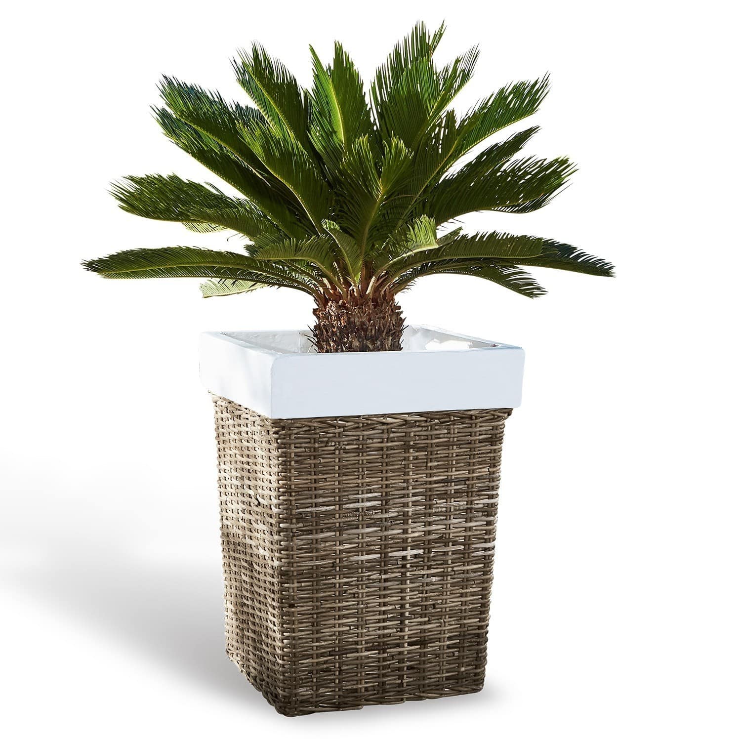 Sierpot Dalton