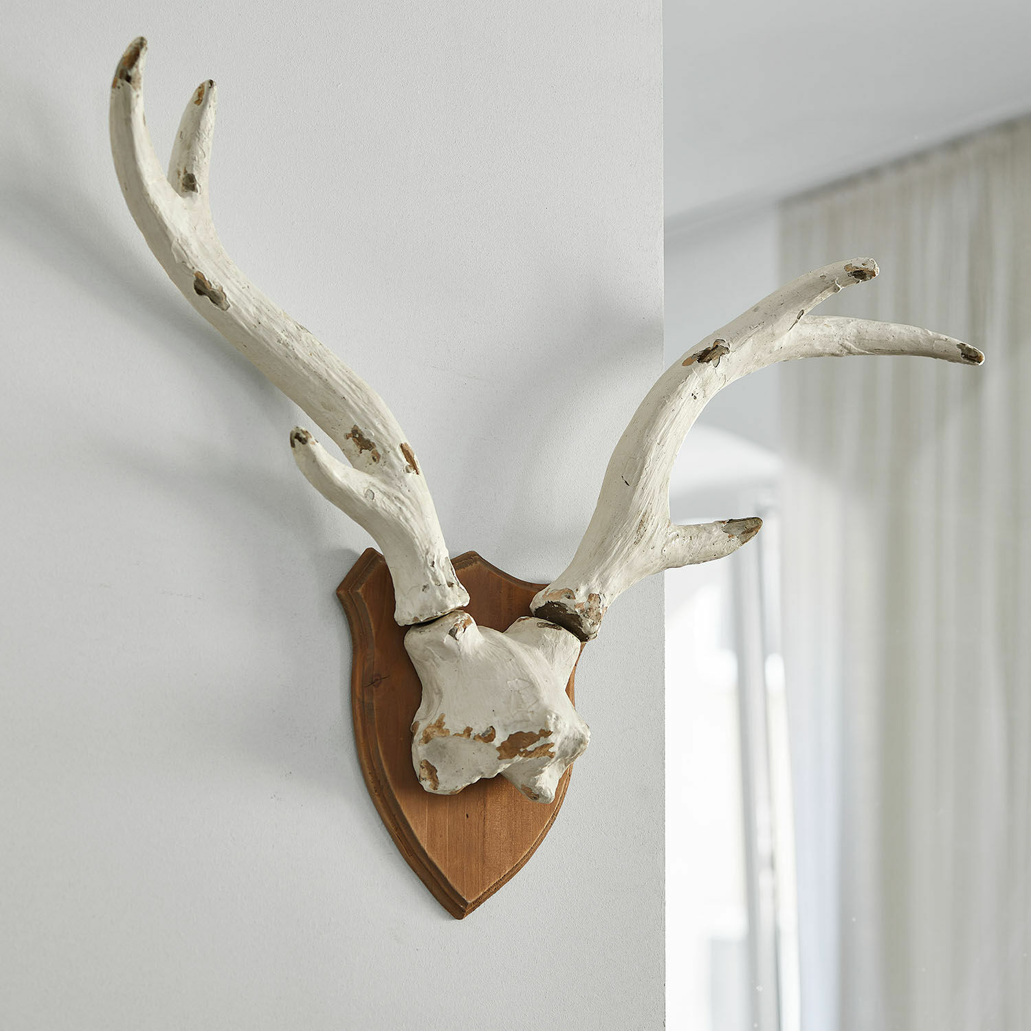 Siergewei Talim Wit decoratief gewei op houten plaat om aan de muur te hangen, rustieke stijl
