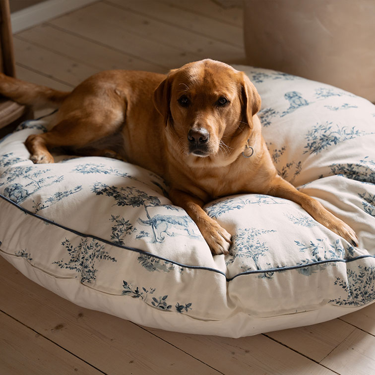 Bruine hond liggend op groot crèmekleurig katoenen kussen met blauw plantenpatroon