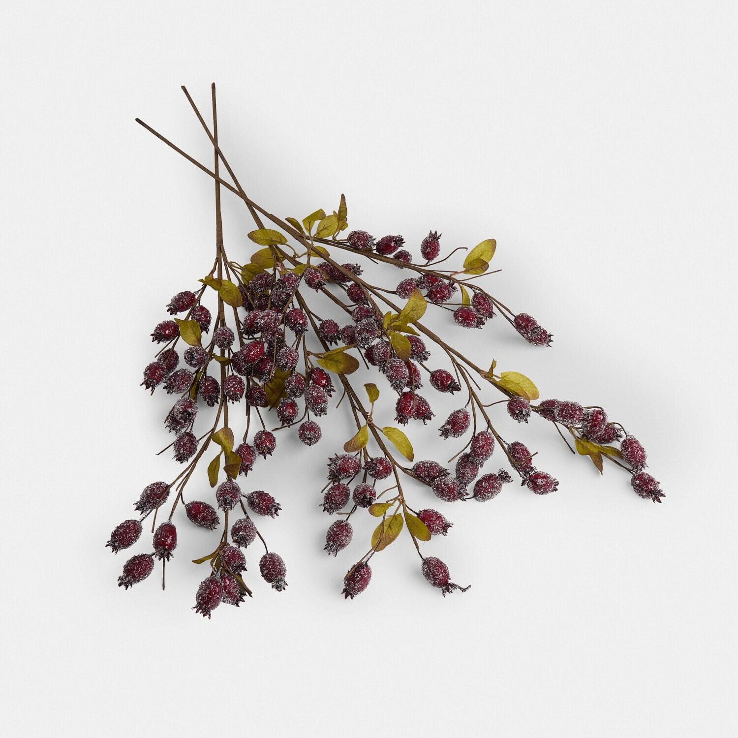 Kunsttak rozenbottels set van 3 Buttonbush