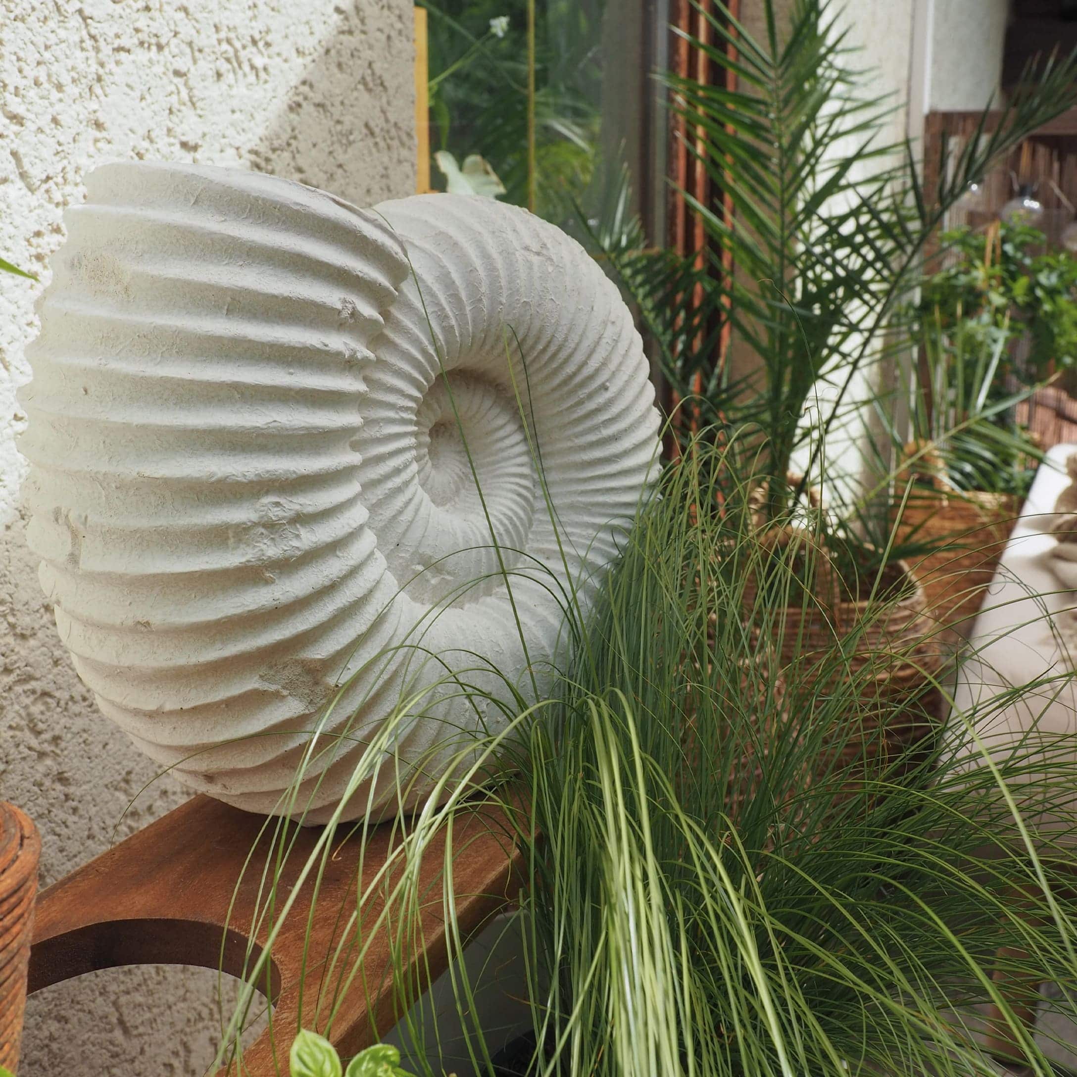 Witte stenen decoratie in schelpvorm op houten plank met groene planten eromheen