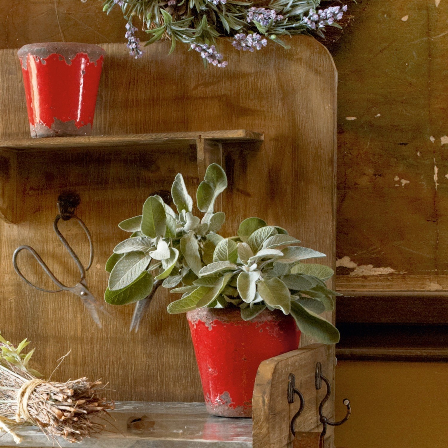 Plantentafel Woodbridge