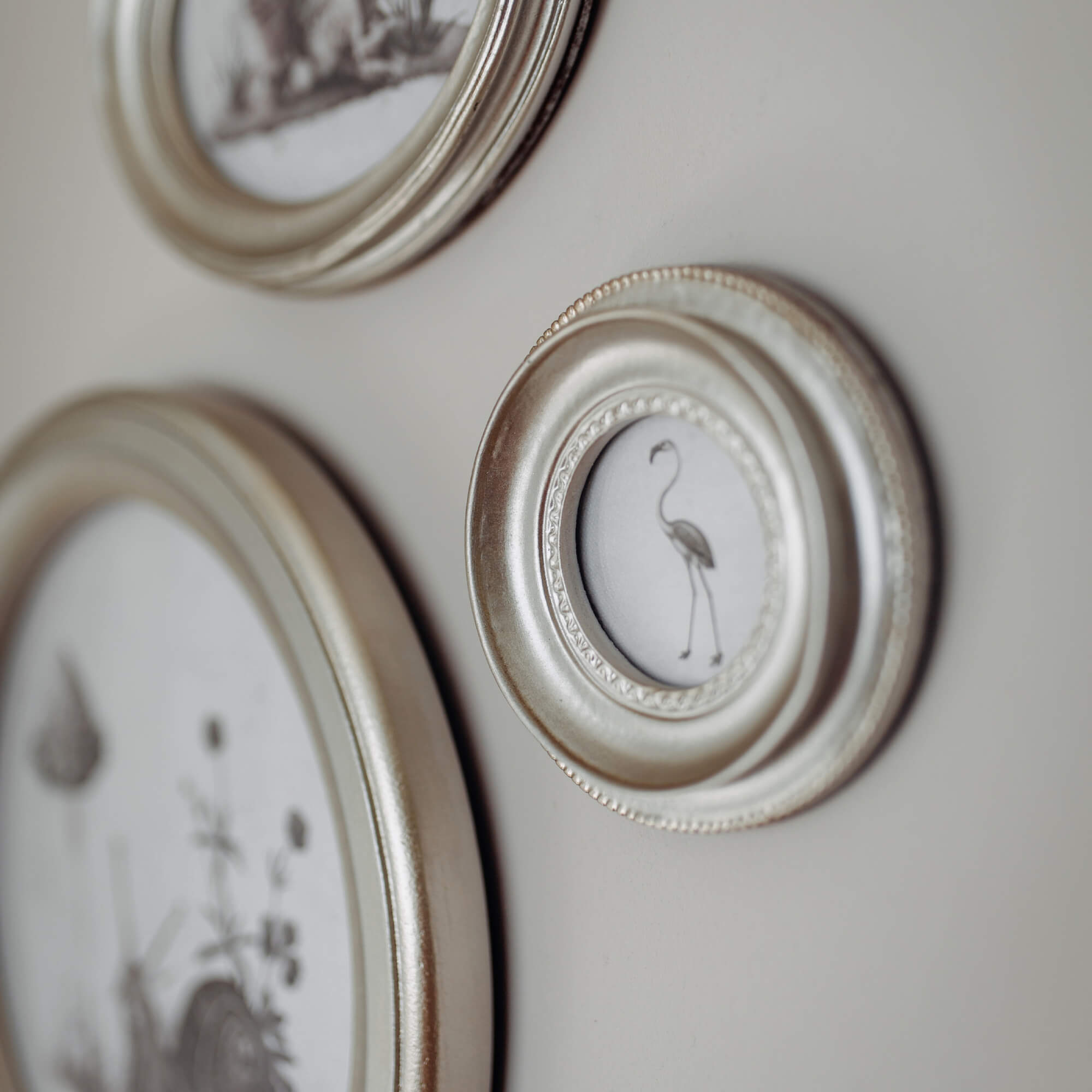 Ronde zilverkleurige fotolijsten met fijn patroon en zwart-witte afbeeldingen van vogels en planten