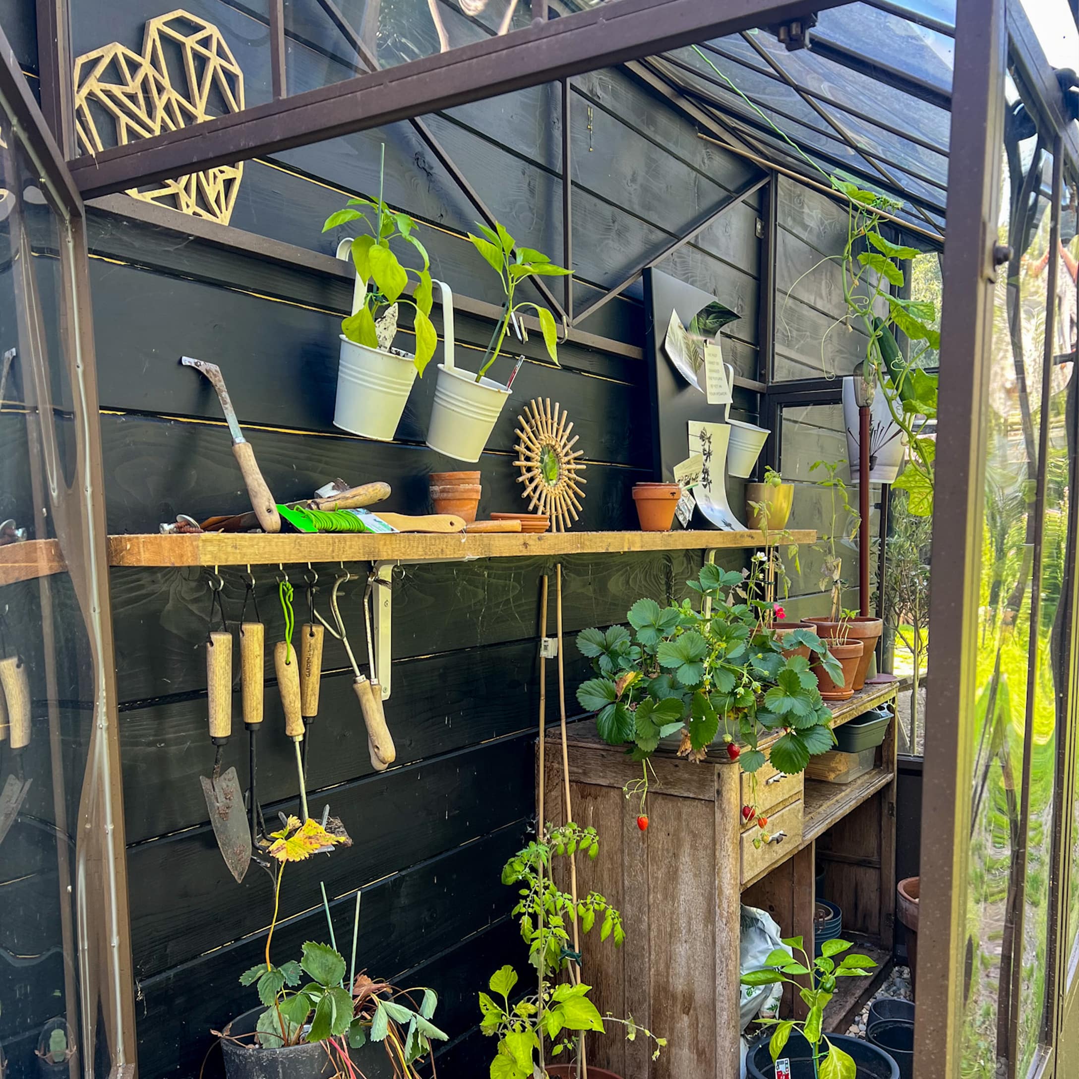 Houten tuintafel met gereedschap en potten in een kas met zwarte wand