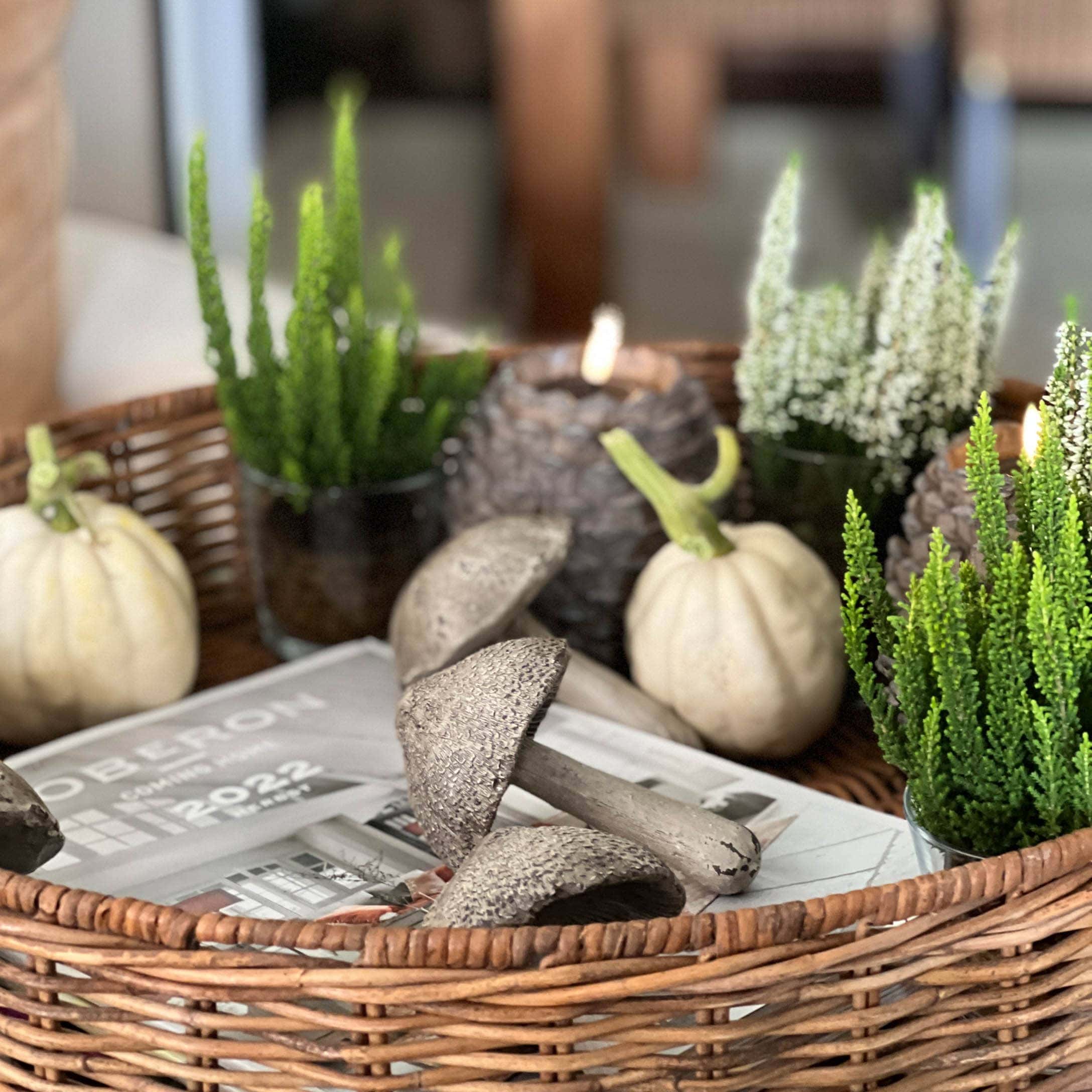 Decoratieve mand met witte pompoenen, groene planten en decoratieve paddenstoelen op tafel