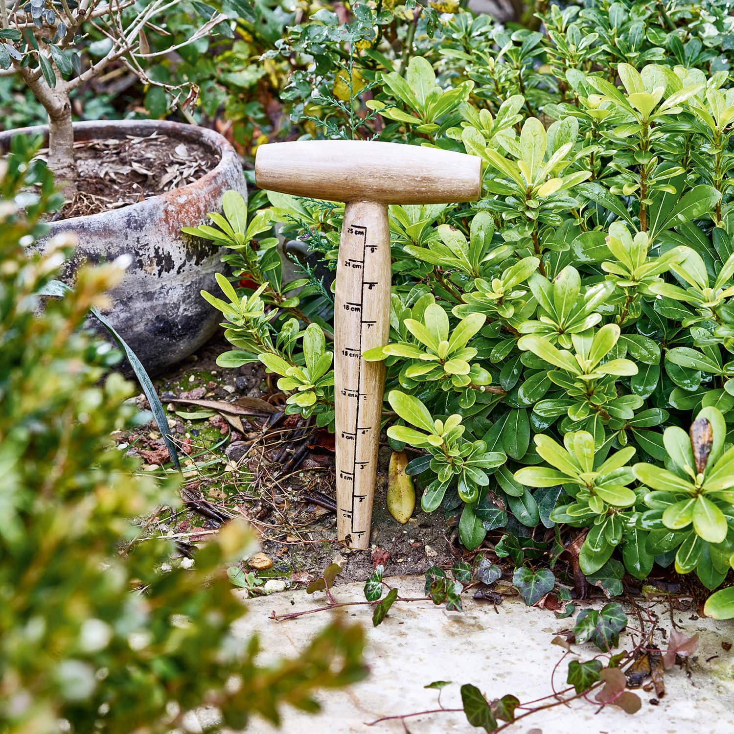 Houten planter Esparron
