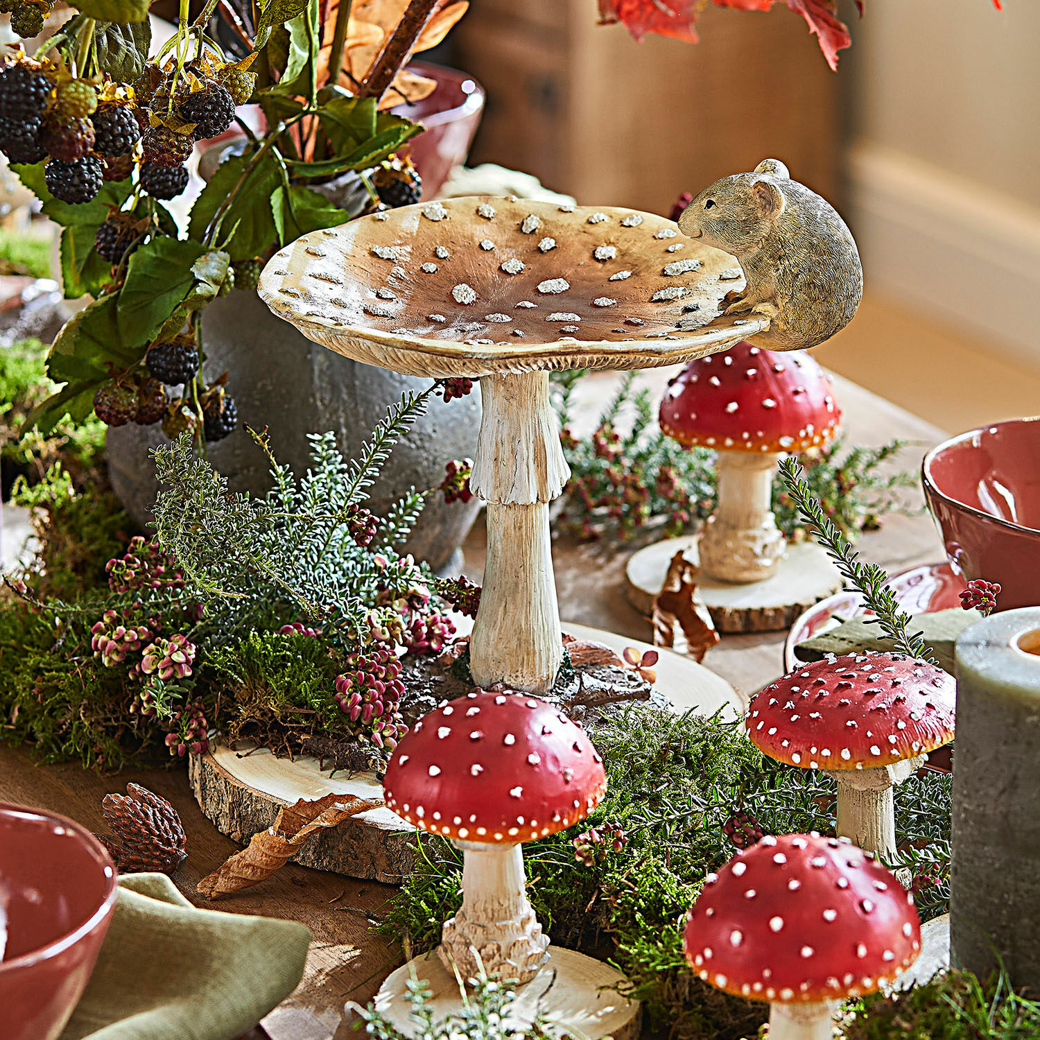 Sierpaddenstoel Isolise