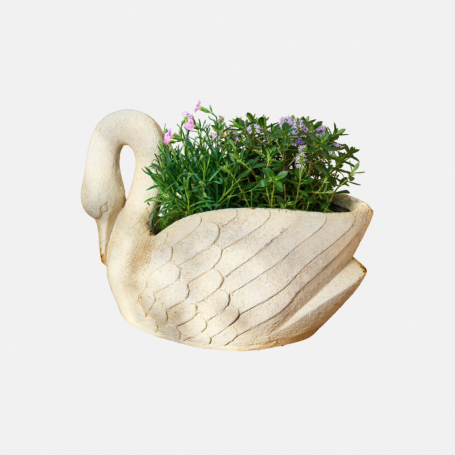 Sierpot Belmarie