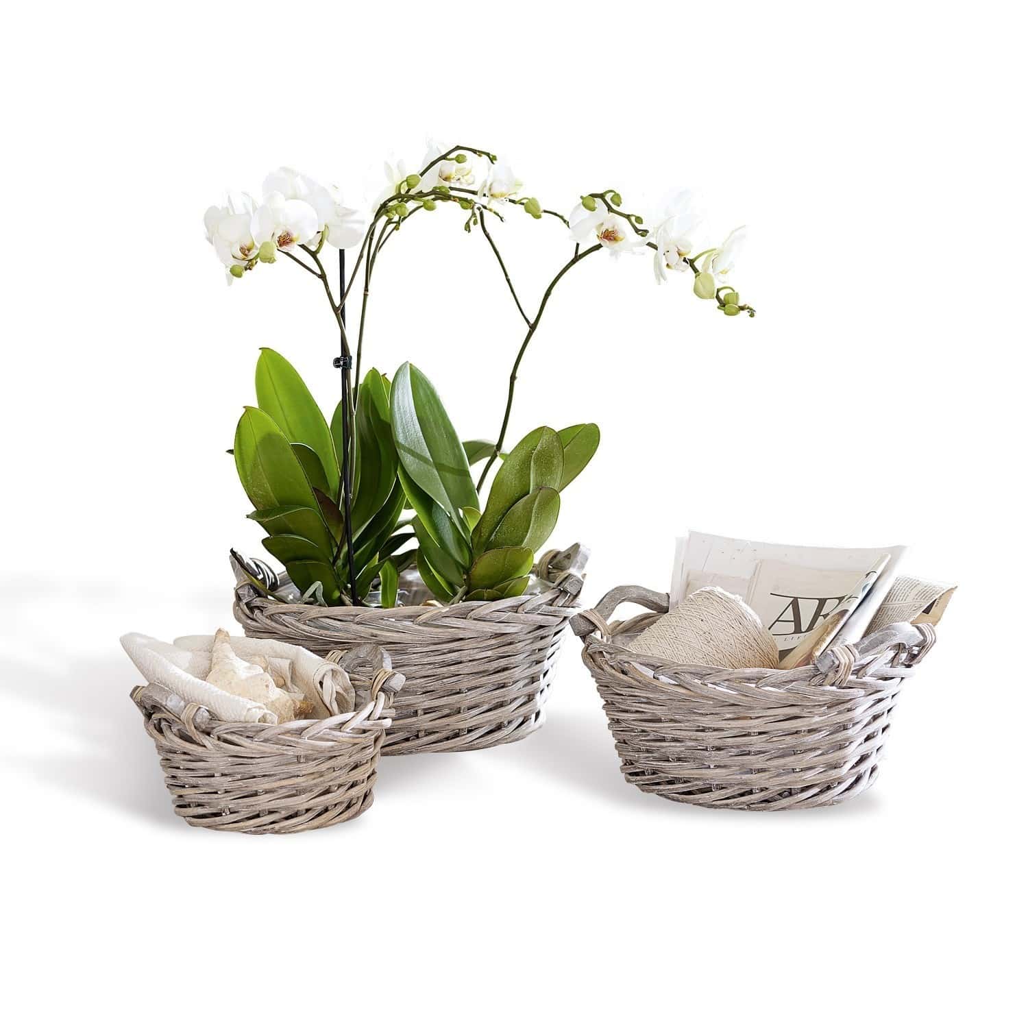 Plantenmanden set van 3 Waylon