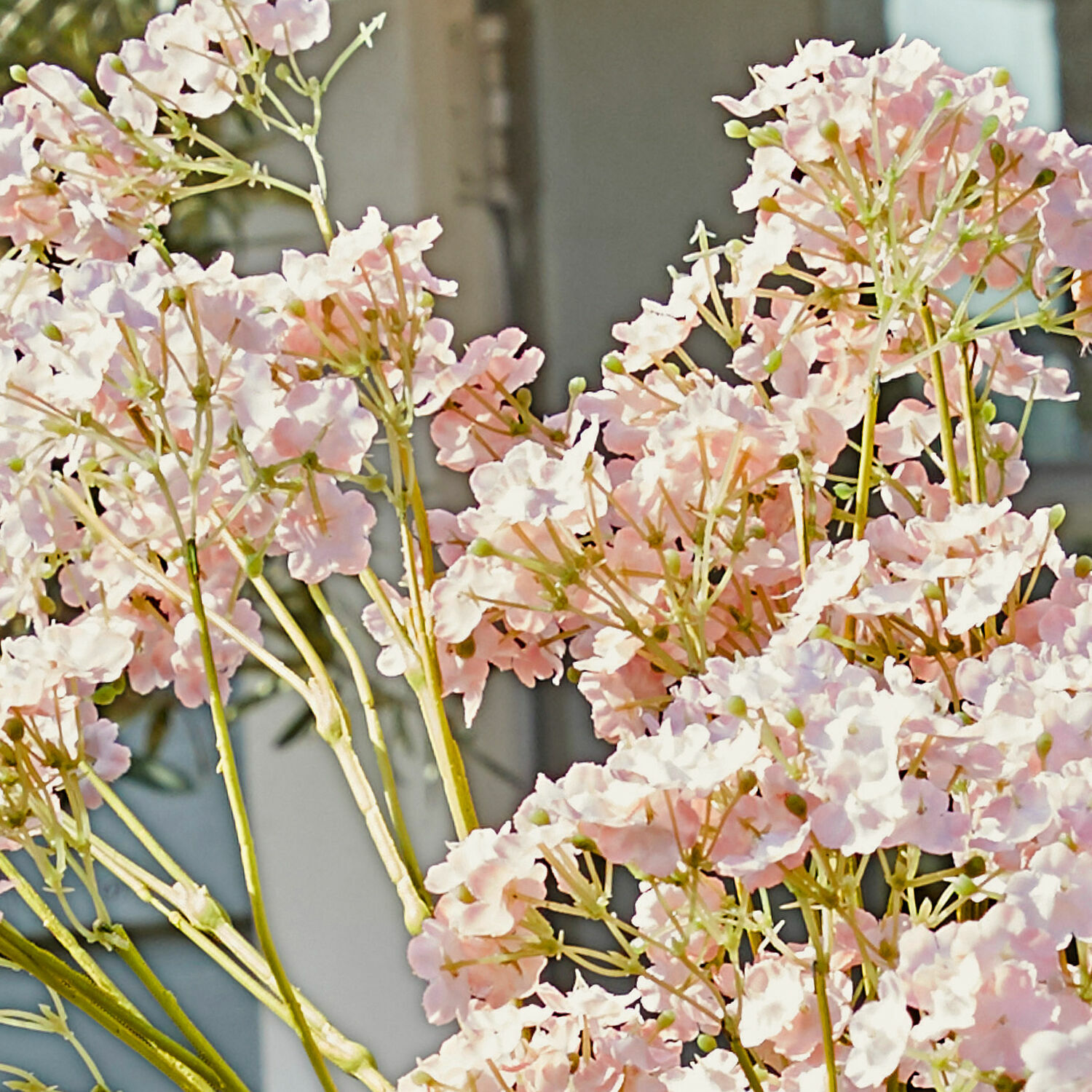 Sierbloem set van 4 Calanthe