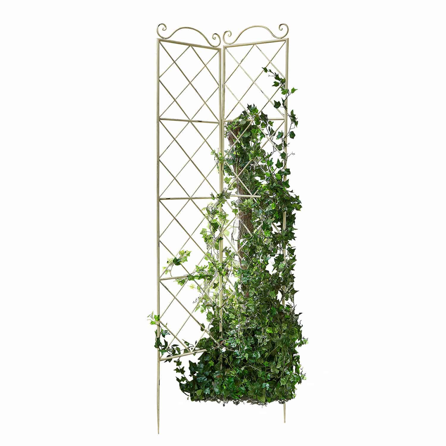Klimplantenrek set van 2 Estero