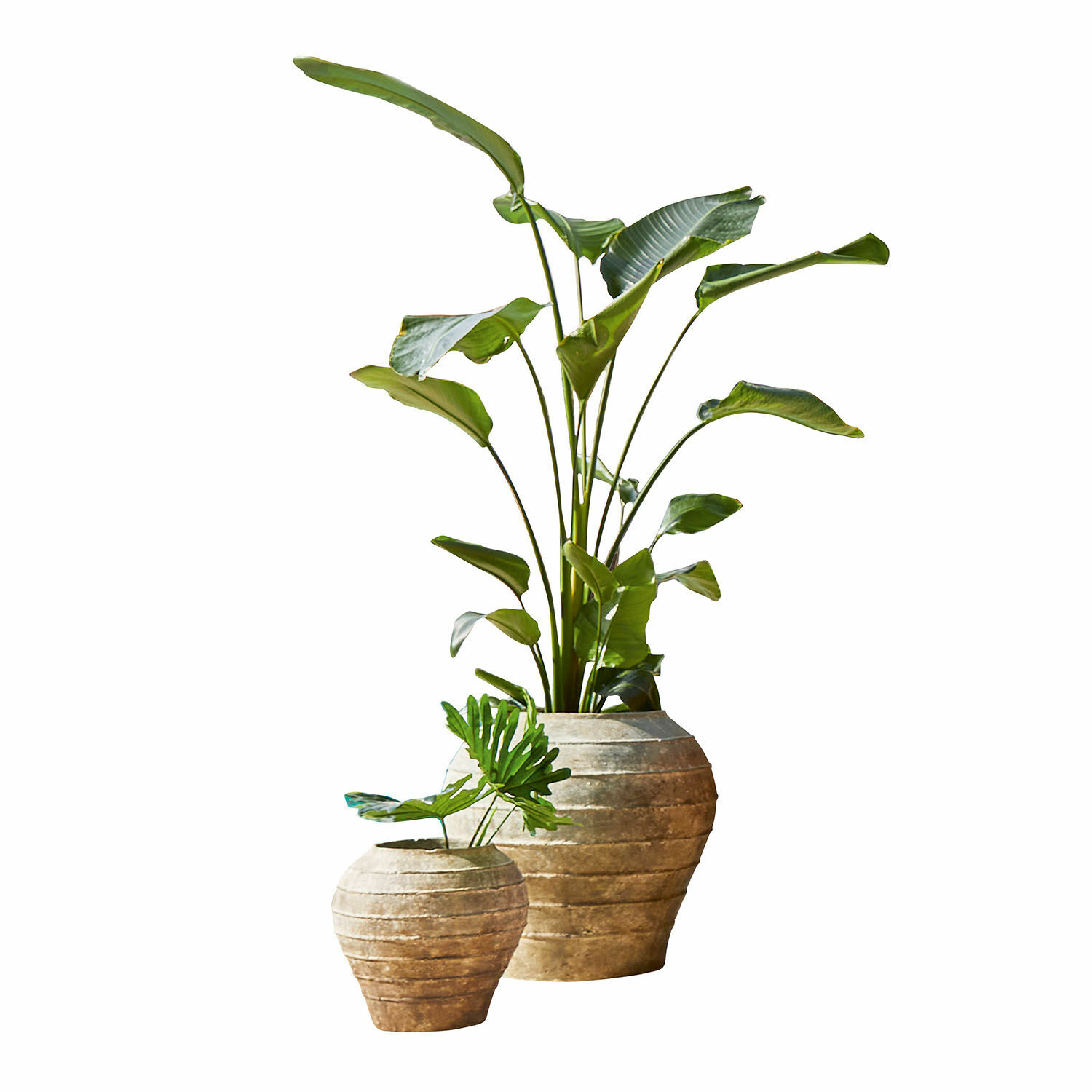 Sierpot set van 2 Sandis