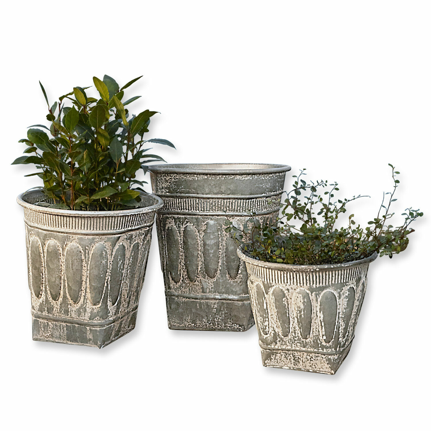 Sierpot set van 3 Bakersfield Set van drie decoratieve grijze metalen bloempotten met planten voor tuindecoratie