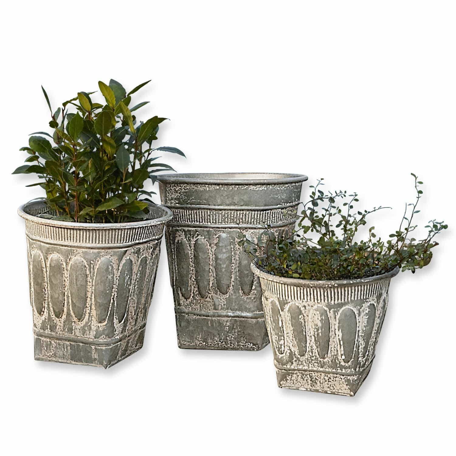 Sierpot set van 3 Bakersfield Set van drie decoratieve grijze metalen bloempotten met planten voor tuindecoratie