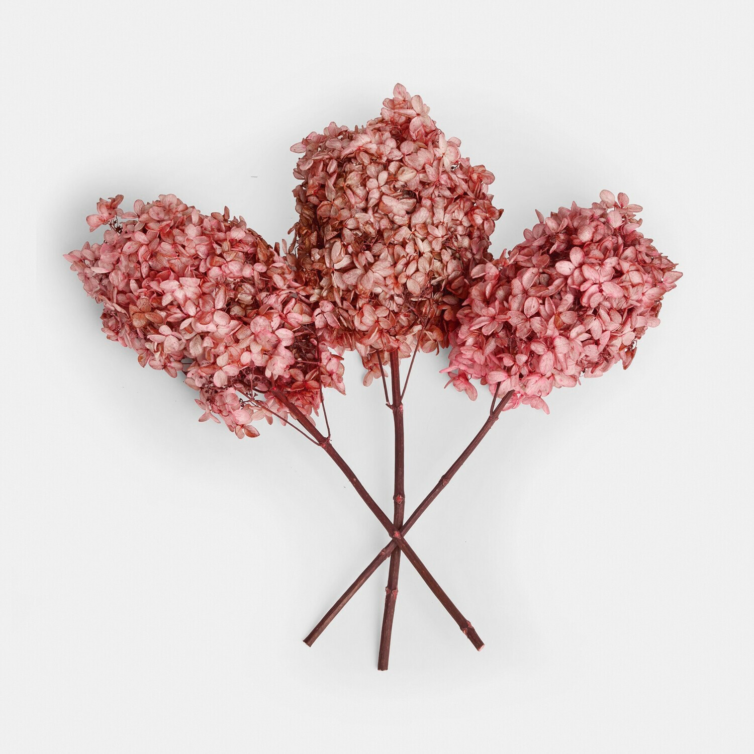 Drie gedroogde roze hortensia bloemen voor interieurdecoratie en bloemstukken
