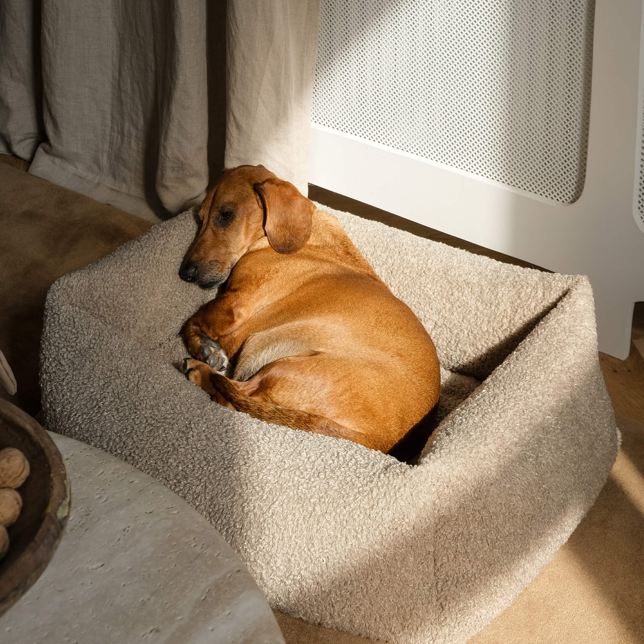 Bruine hond die slaapt op een beige, zacht pluche hondenbed in een gezellige kamer