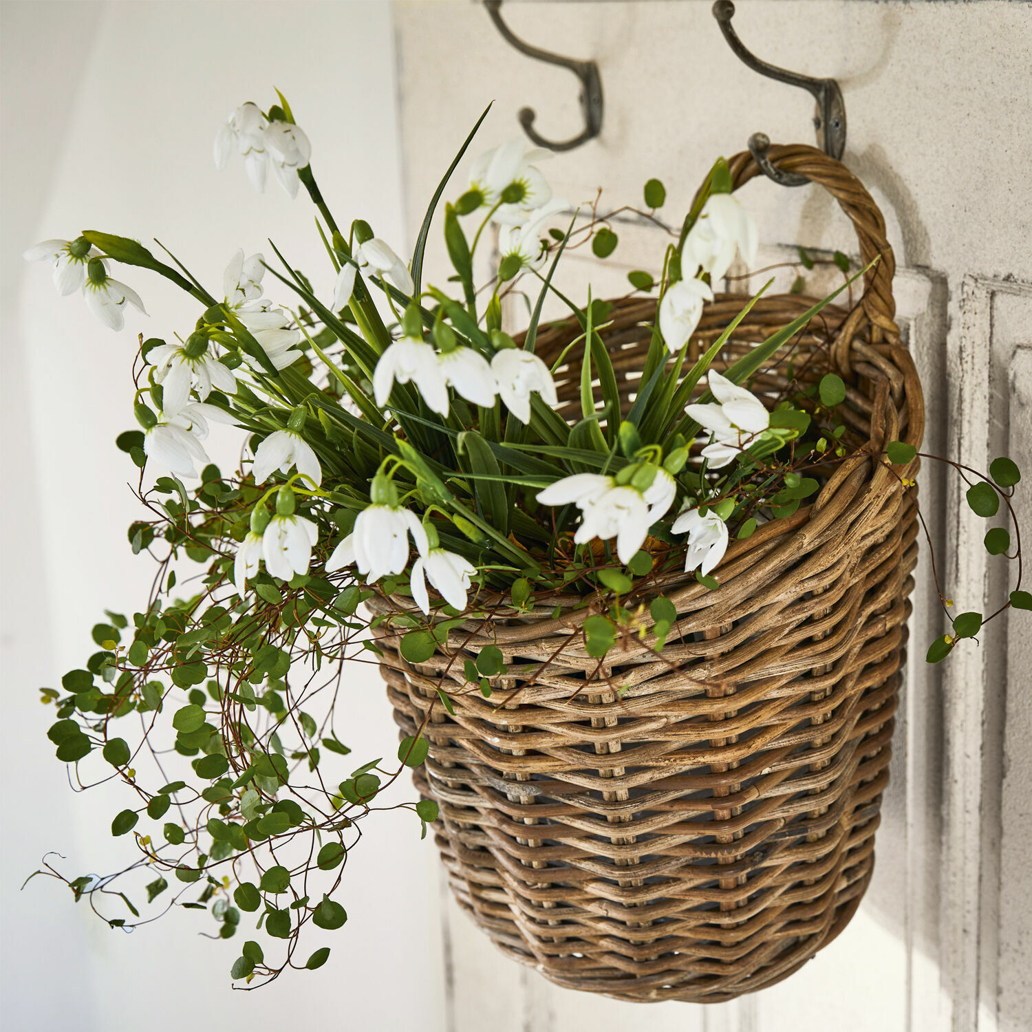 Sierbloem set van 12 Willmare