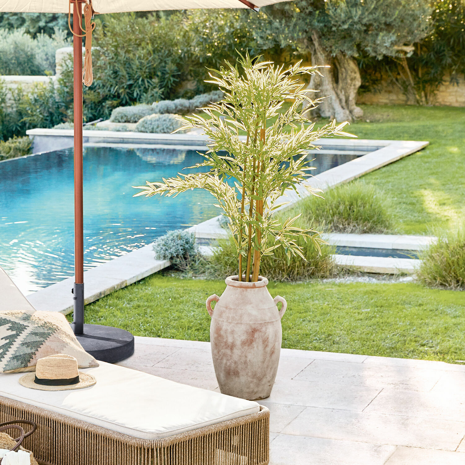 Decoratieve potplant Ligron