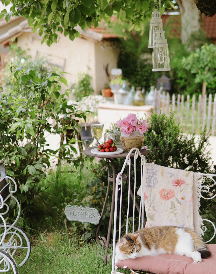 Gezellige tuin met metalen tafel, roze bloemen en kat op roze kussen, bloemendecoratie