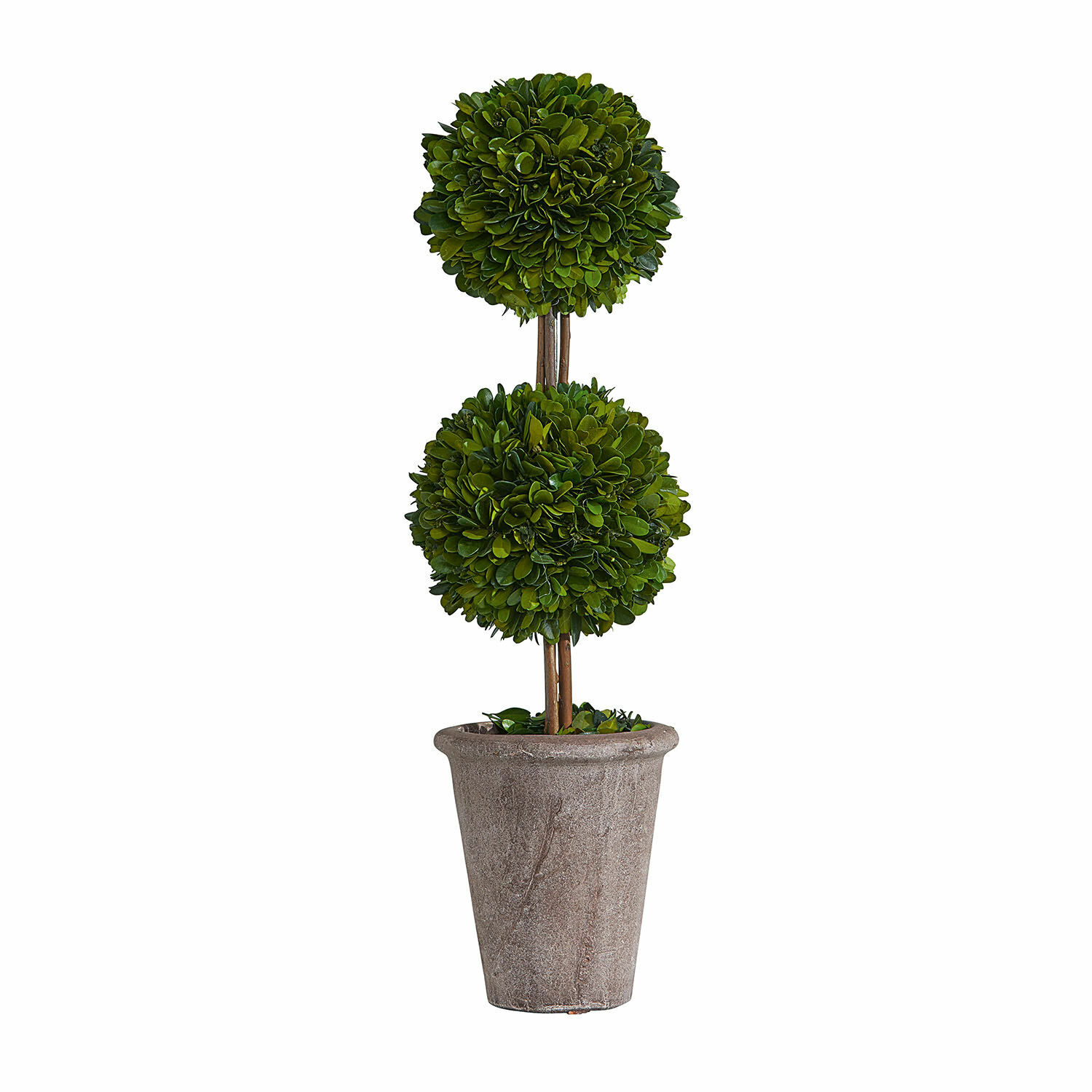 Sierboom Noisse Kunstmatige buxusboom in grijze stenen pot voor binnen- en buitendecoratie