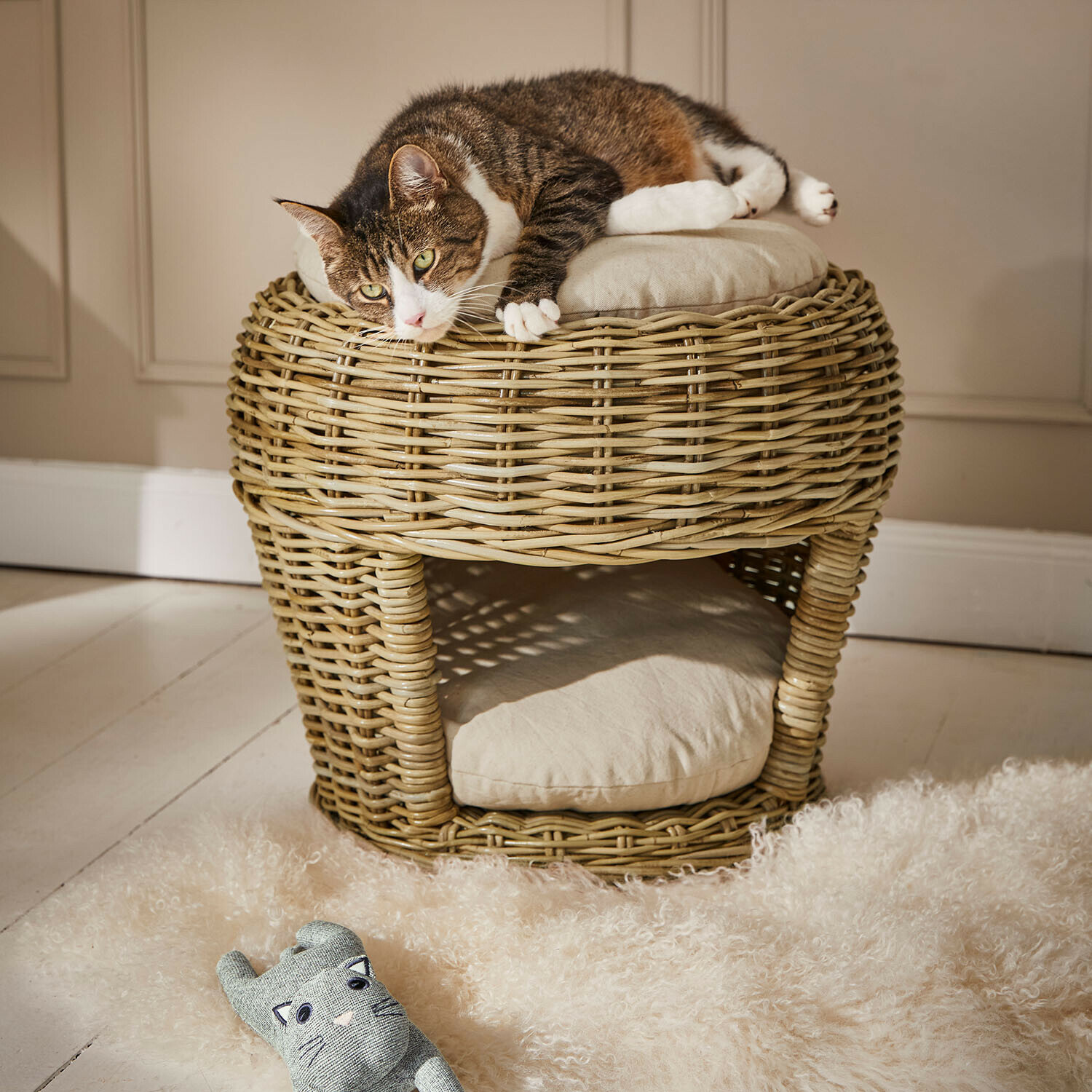 Mand voor huisdieren Haverdon