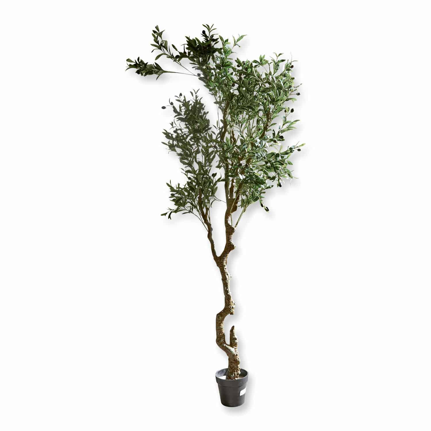 Sierpotplant Dambly Kunstmatige olijfboom in zwarte pot met groene bladeren voor interieurdecoratie