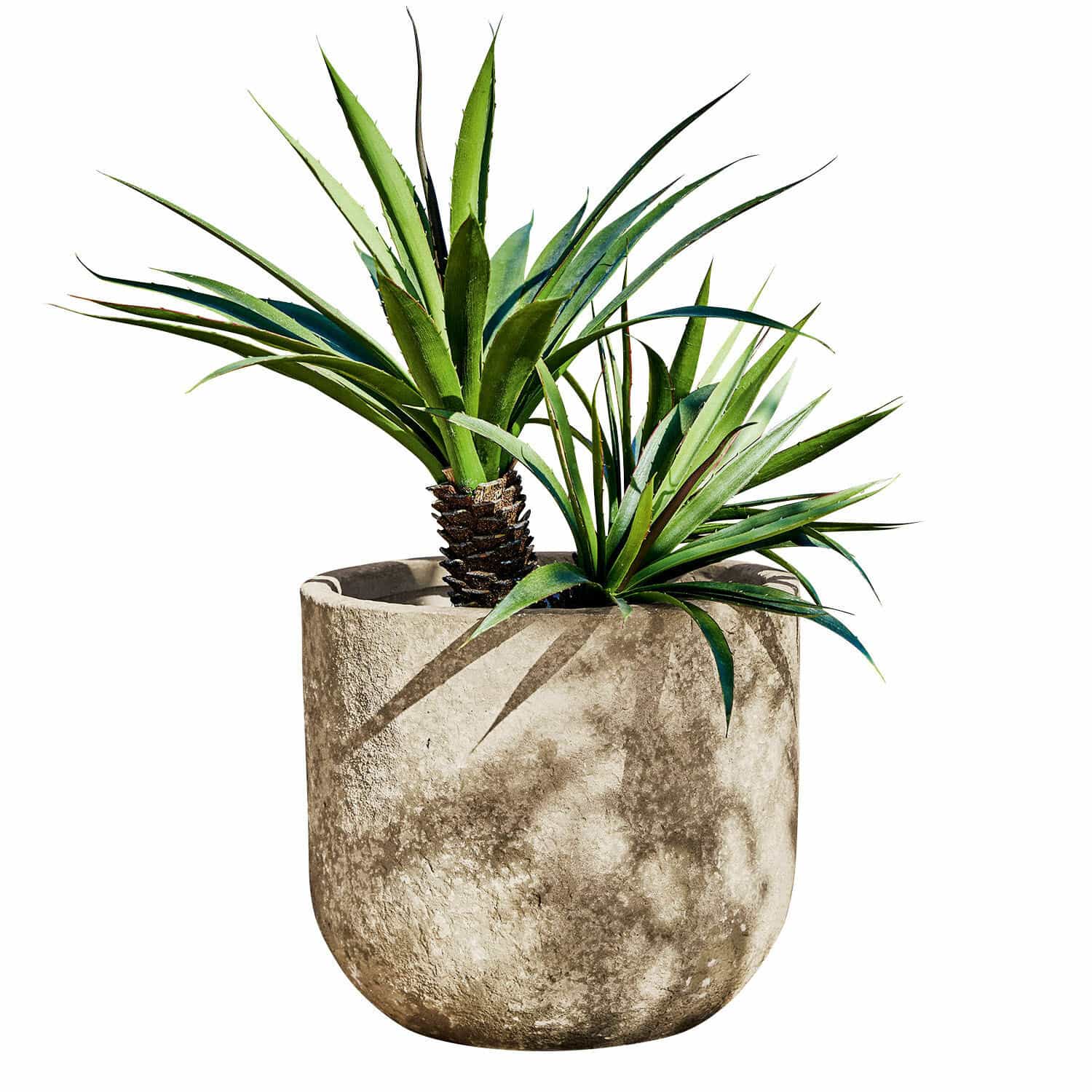 Sierpot Ela Grijze betonnen bloempot met groene decoratieve planten voor binnen en tuin