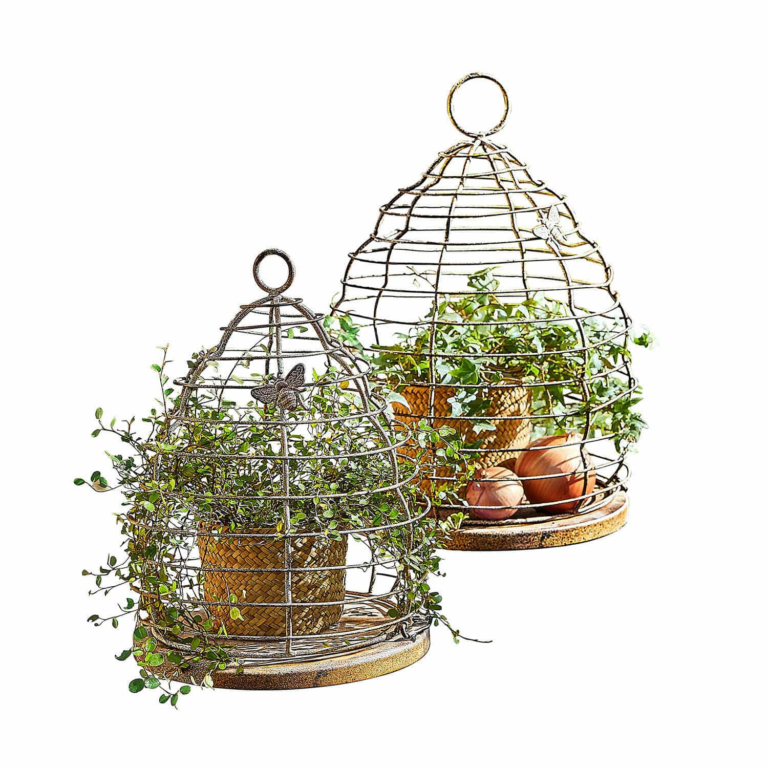Plantensteun set van 2 Sixel