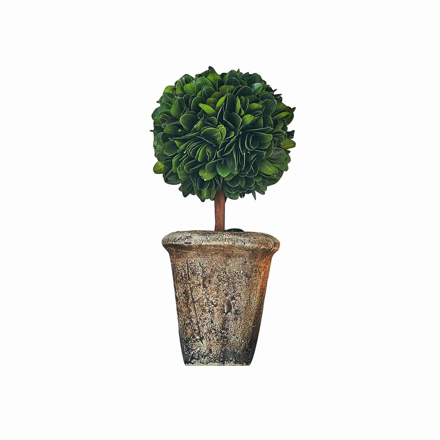 Decoratieve boom met groene bladeren in rustieke pot met verouderd effect voor binnen