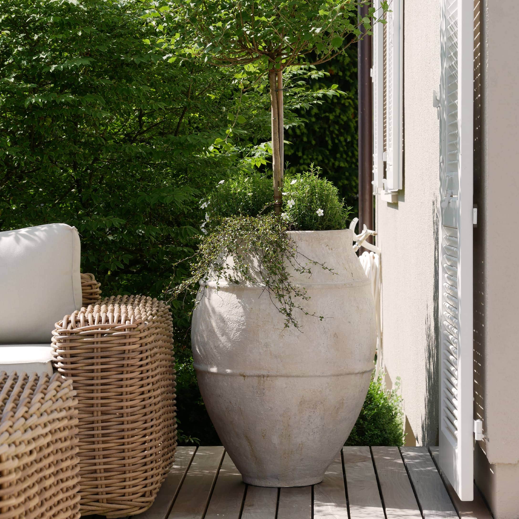 Grote witte keramische pot met groene boom op terras naast rotan stoel