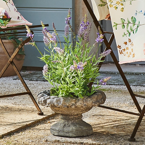 Decoratieve stenen plantenbak met lavendel, rustieke tuin, natuurlijke kleuren voor terras