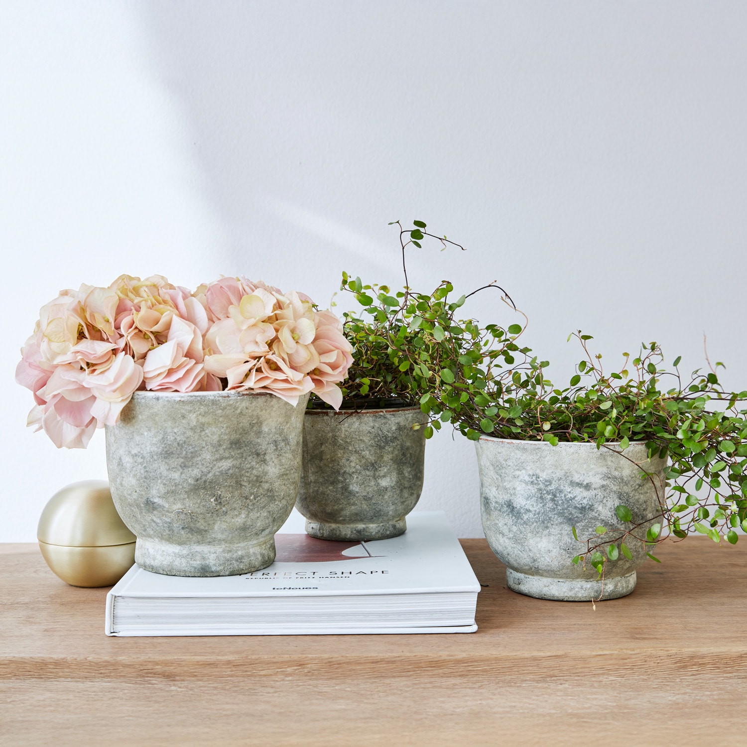 Drie grijze betonnen potten met roze bloemen en groene planten op een lichte houten tafel