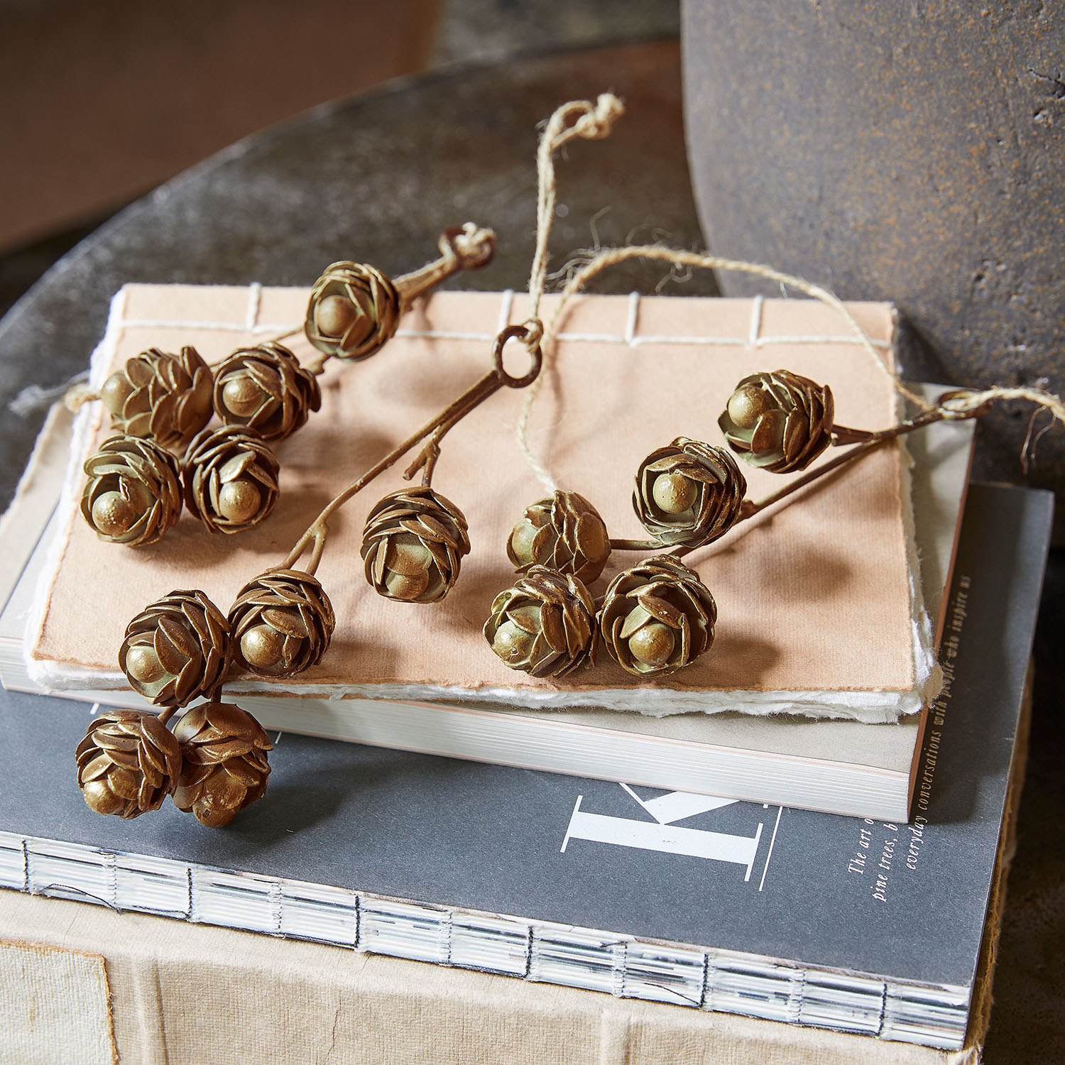 Decoratieve takken met bruine dennenappels op een stapel boeken, natuurlijke interieurdecoratie